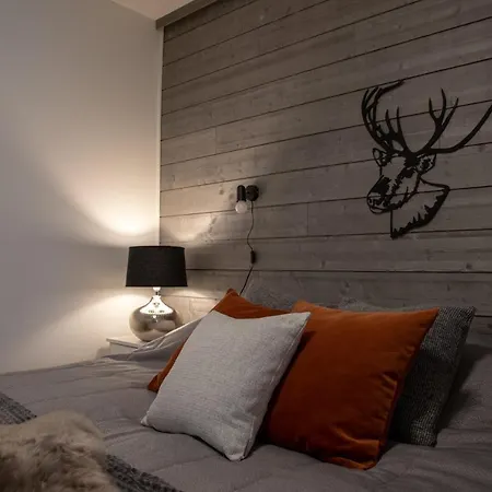 Levillenet Skistar Superior 1-bedroom Levi