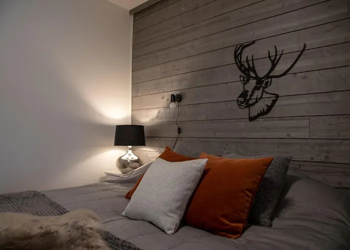 Levillenet Skistar Superior 1-bedroom Levi